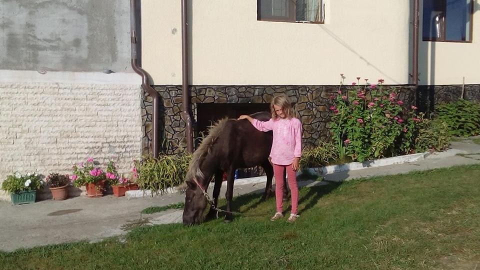 Pensiunea Adeluta Călimăneşti Exteriör bild
